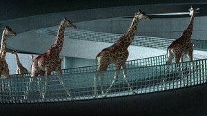 5,80metresfilmstill_ergebnis